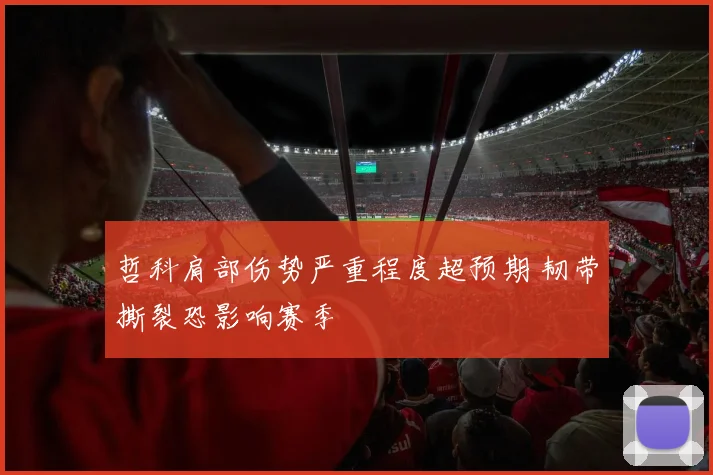 哲科肩部伤势严重程度超预期 韧带撕裂恐影响赛季