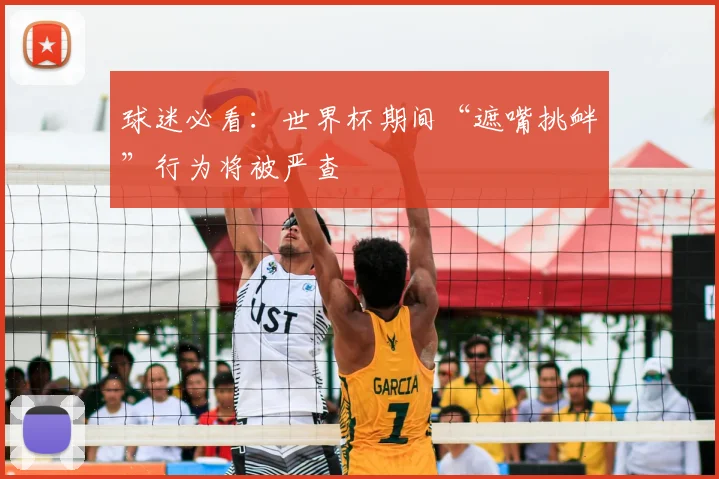 球迷必看：世界杯期间“遮嘴挑衅”行为将被严查